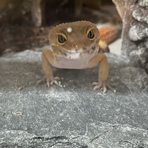 Meet your Posher, Aaliyah